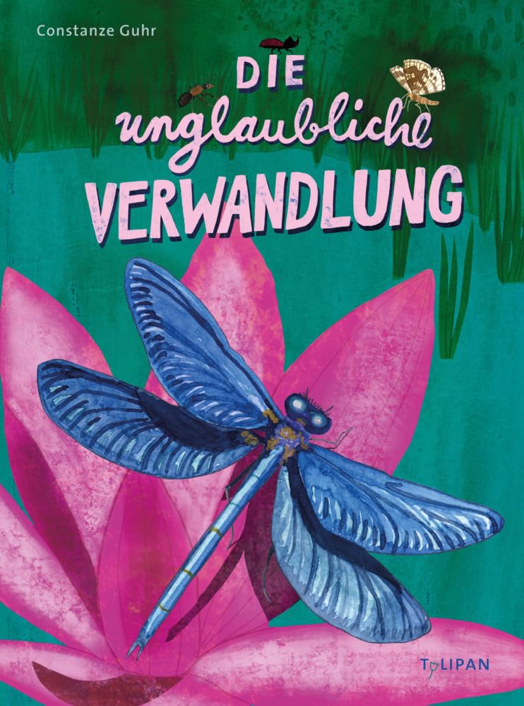 Die unglaubliche Verwandlung Non-fiction