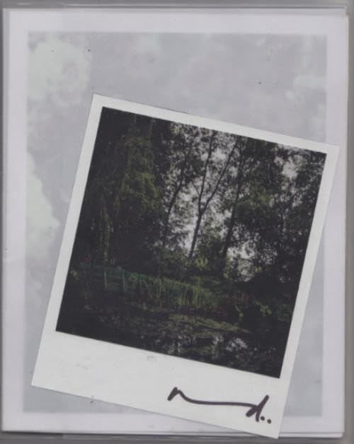 Darren Almond: The Giverny Polaroids: Civil Dawn Film, Art & Culture
