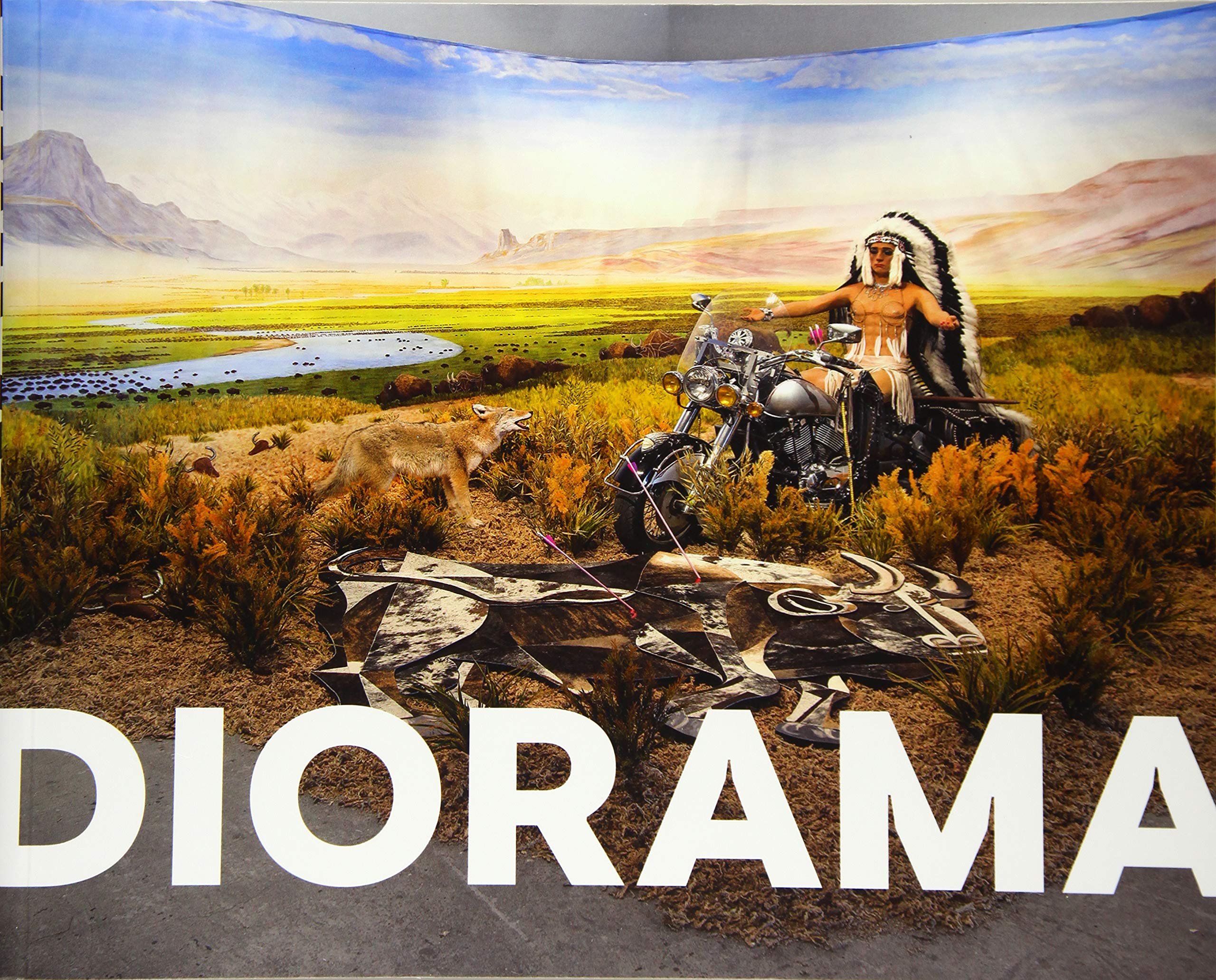 Diorama – Erfindung einer Illusion: Kat. Schirn Kunsthalle Frankfurt Film, Art & Culture