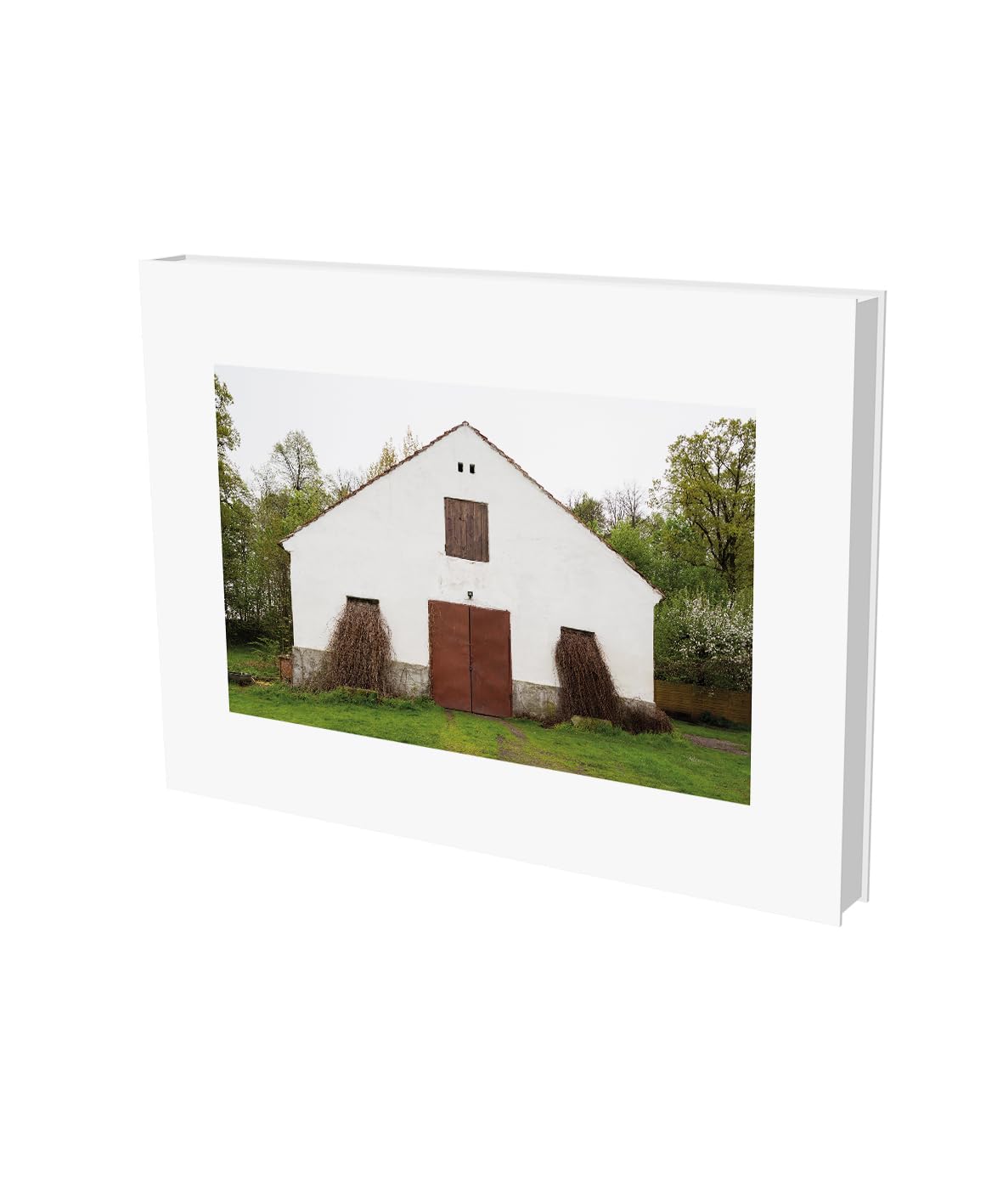 Pia Pollmanns: Die Wege der Elisa Kosch: Katalog zur Ausstellung: Bremer Förderpreis für Bildende Kunst, 2018 Film, Art & Culture
