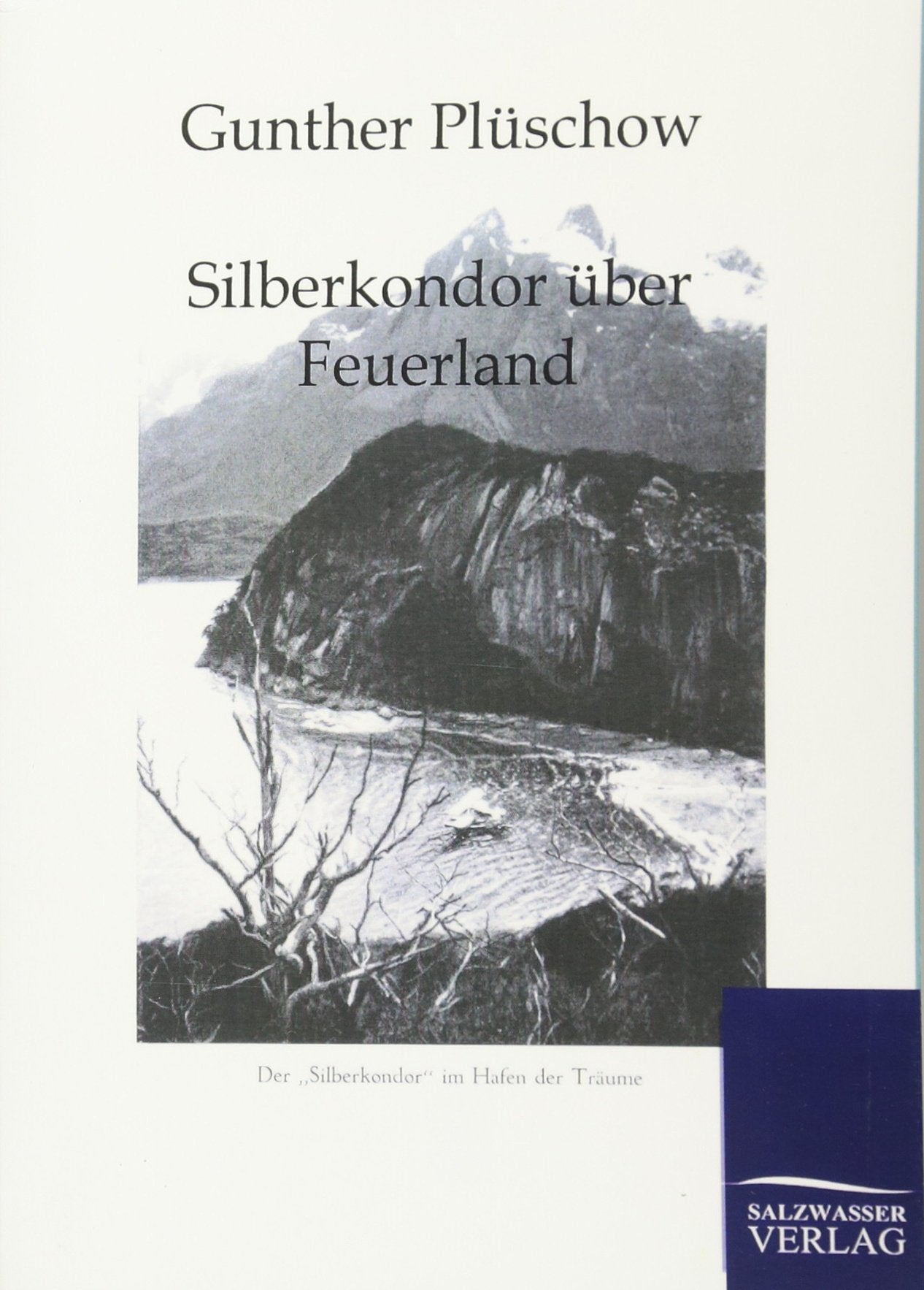 Silberkondor über Feuerland: Mit Segelkutter und Flugzeug ins Reich meiner Träume Leisure, Home & Garden