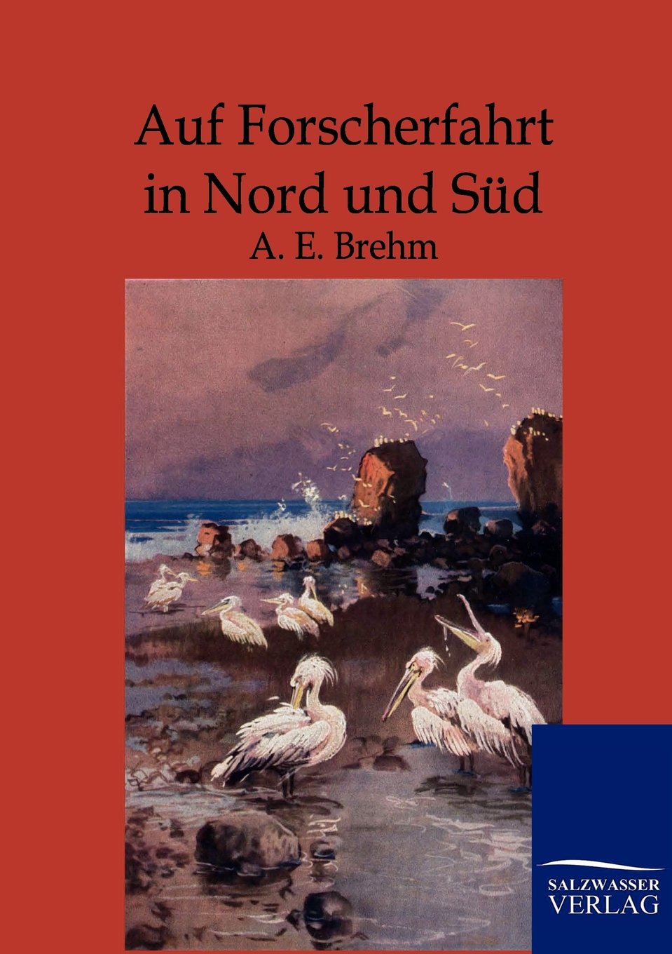 Auf Forscherfahrt in Nord und Süd: Erlebnisse bei Mensch und Tier Leisure, Home & Garden