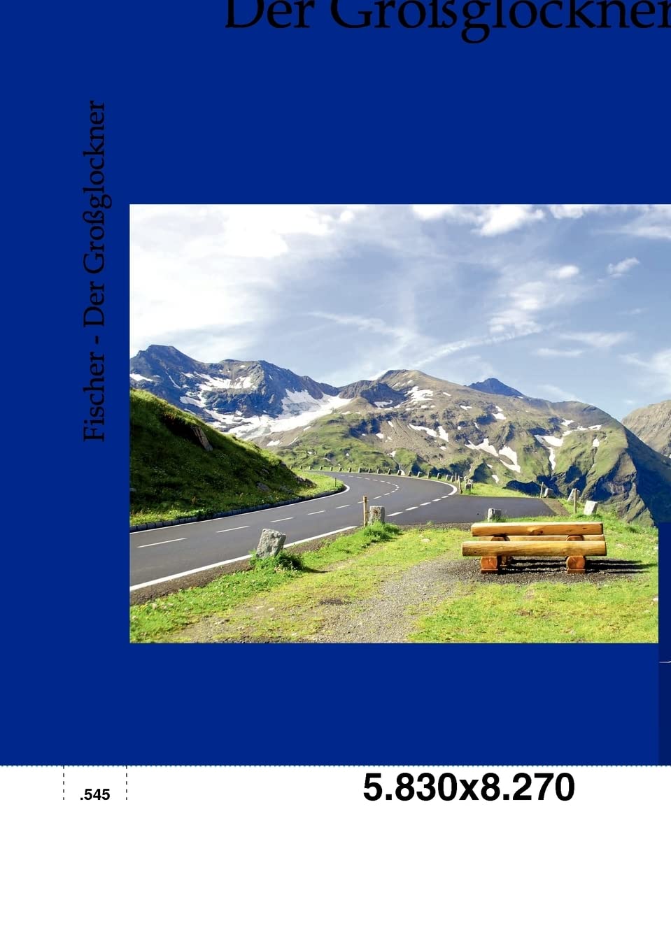 Der Großglockner: Das Buch des Königs der deutschen Berge Business & Technology