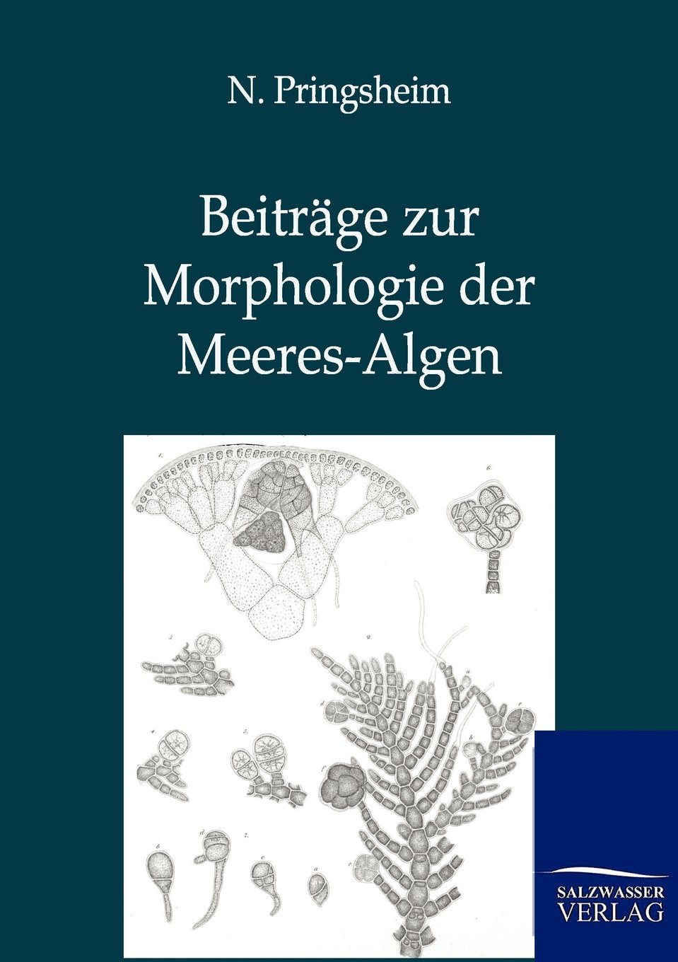 Beiträge zur Morphologie der Meeres-Algen Natural Sciences
