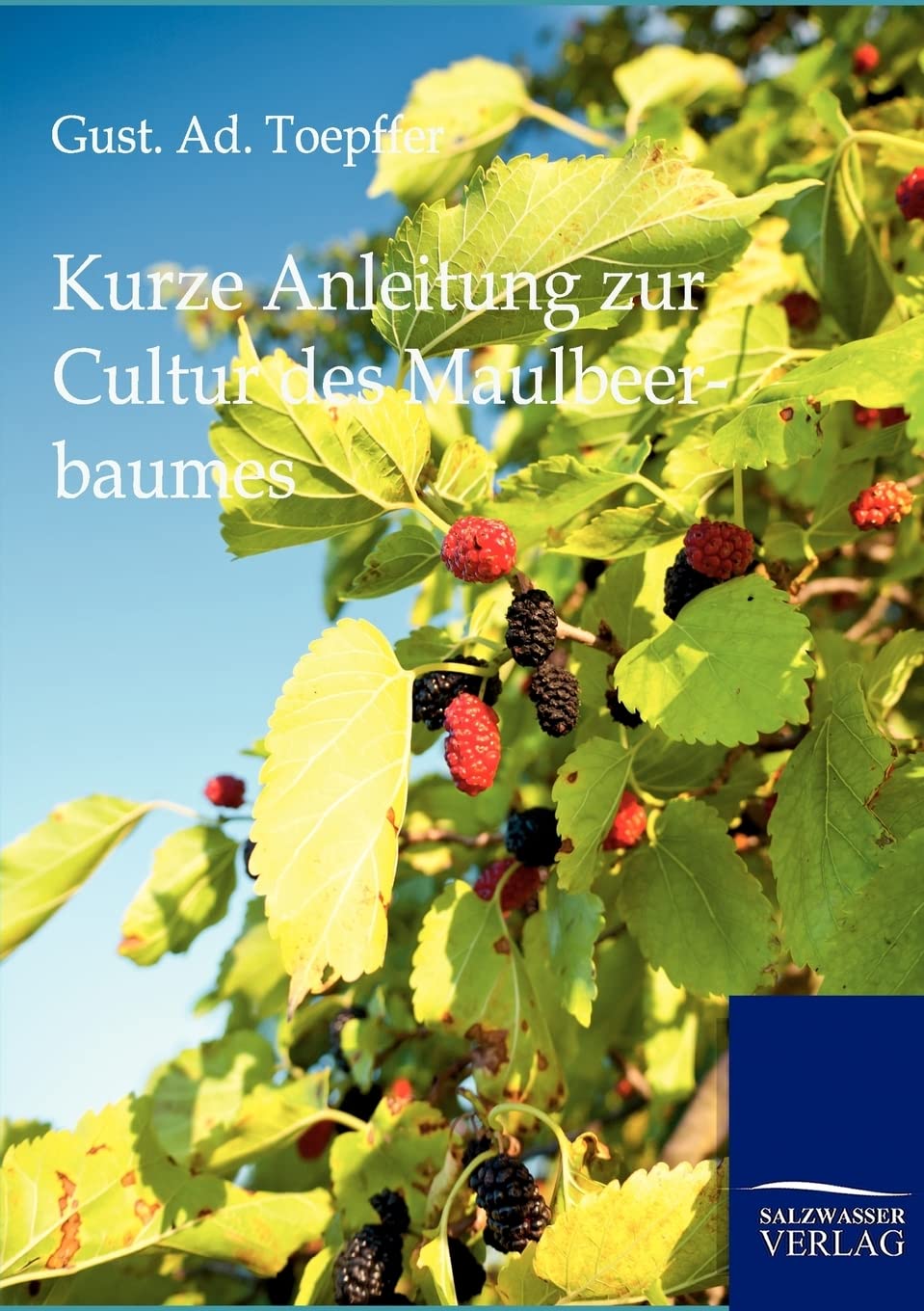 Kurze Anleitung zur Cultur des Maulbeerbaumes Leisure, Home & Garden