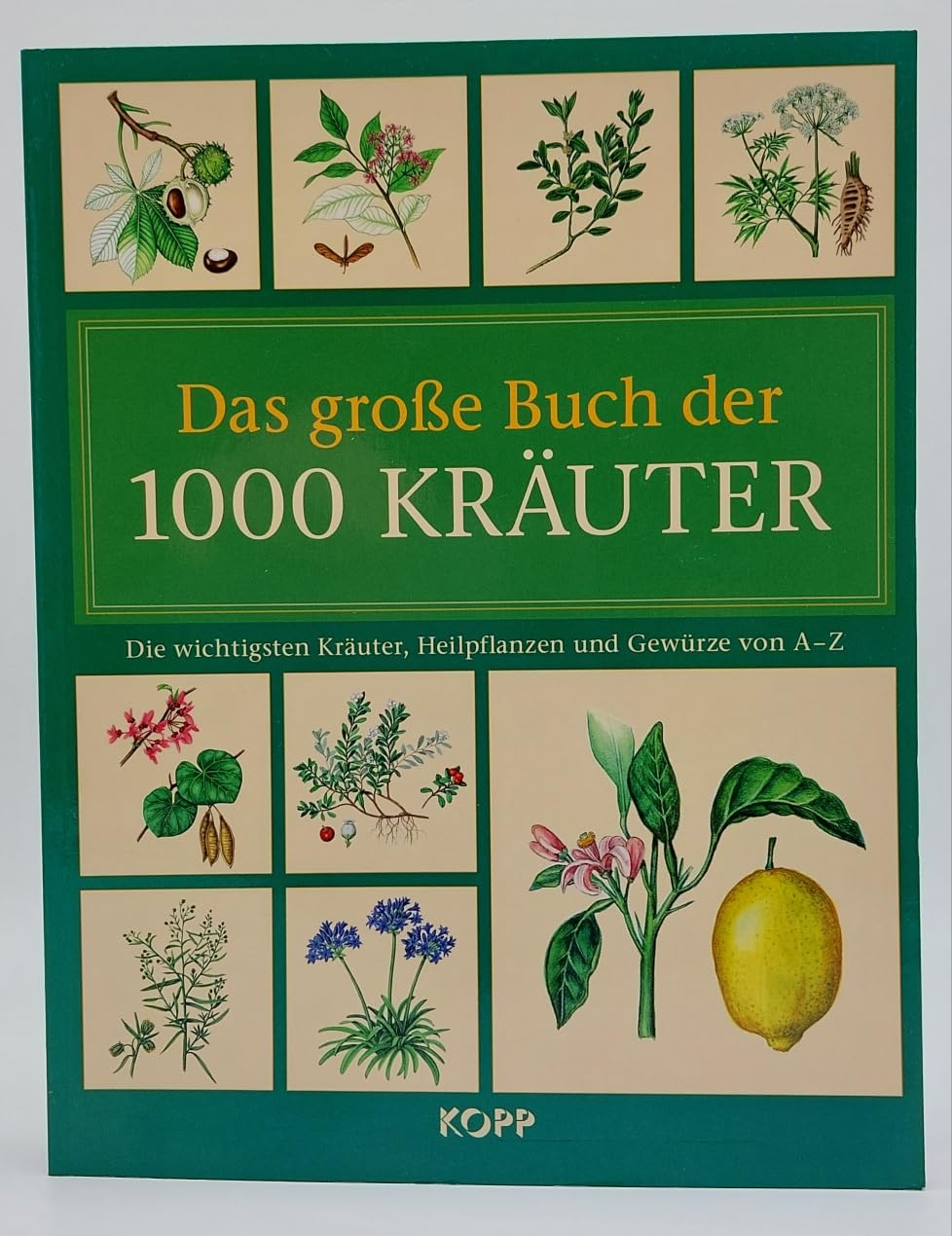 Das große Buch der 1000 Kräuter Books