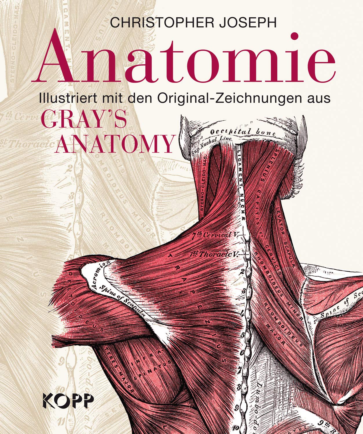 Anatomie: Illustriert mit den Original-Zeichnungen aus Gray's Anatomy Books