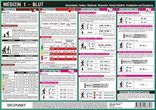 Medizin (1) - Blut: Bestandteile, Aufbau, Blutdruck, Blutzucker, Kleines Blutbild, Krankheiten und Symptome Medicine