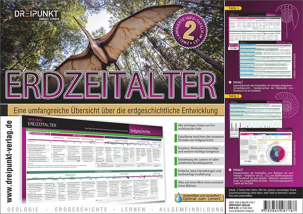 Info-Tafel-Set Ukulele: Die umfangreiche Ukulele-Schule mit 288 Akkorden und vielen Tipps zum Spielen Leisure, Home & Garden