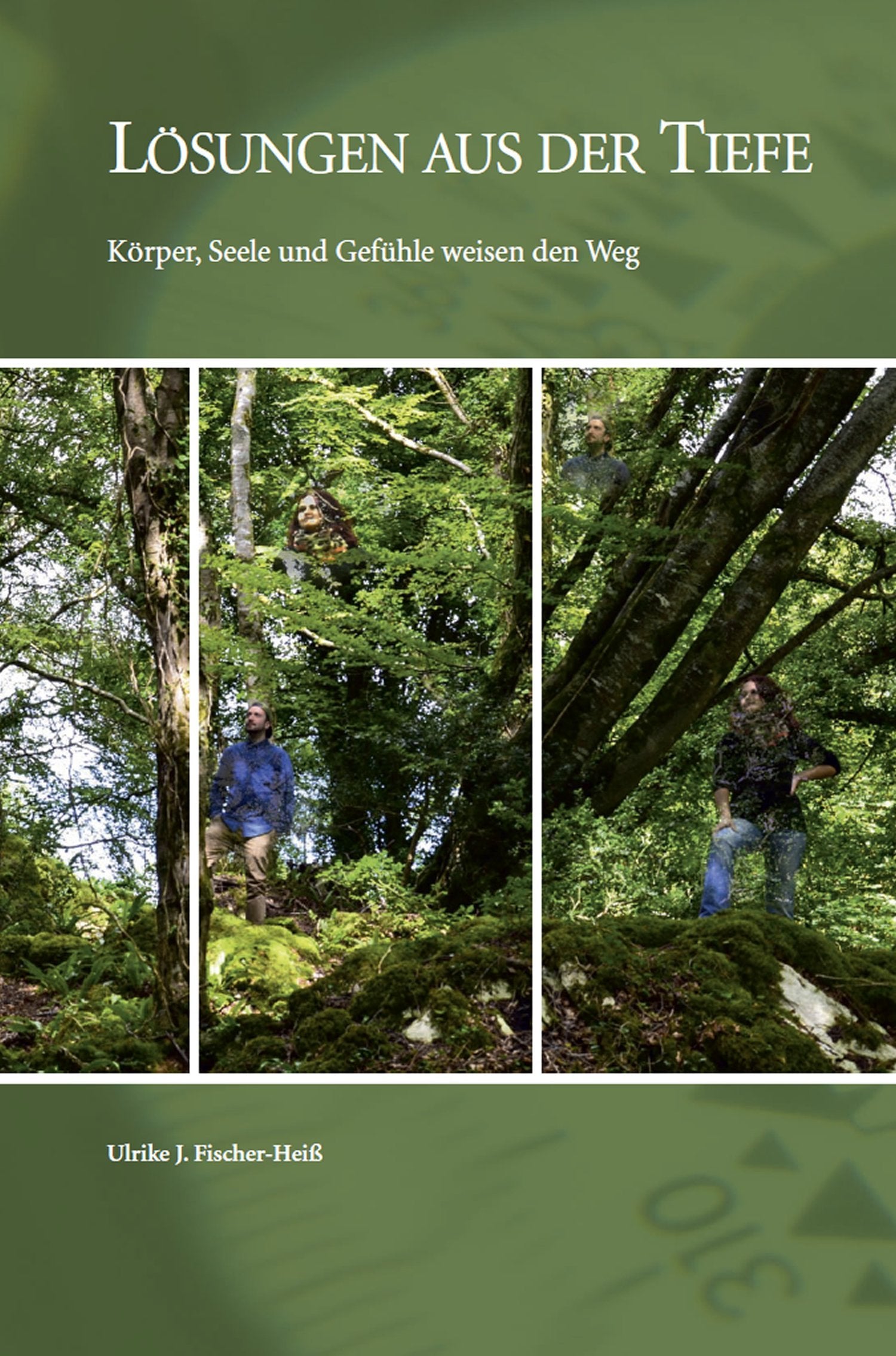 Lösungen aus der Tiefe: Körper, Seele und Gefühle weisen den Weg Books