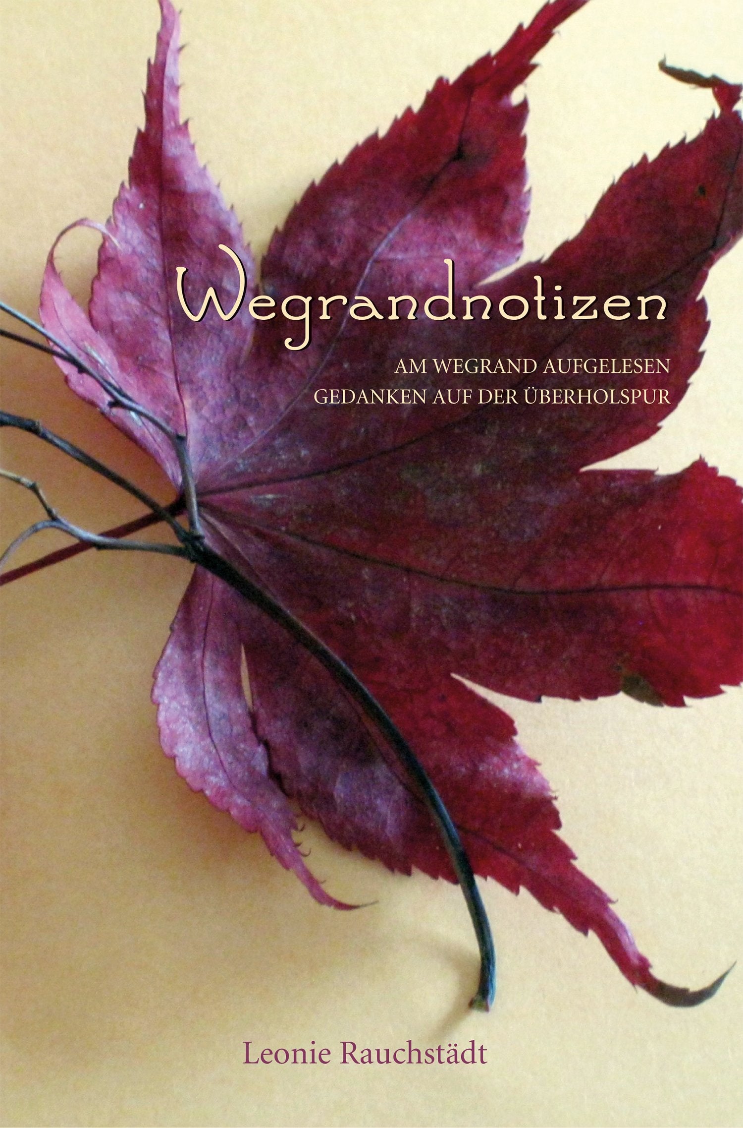 Wegrandnotizen: Am Wegrand aufgelesen Gedanken auf der Überholspur Living & Furnishing