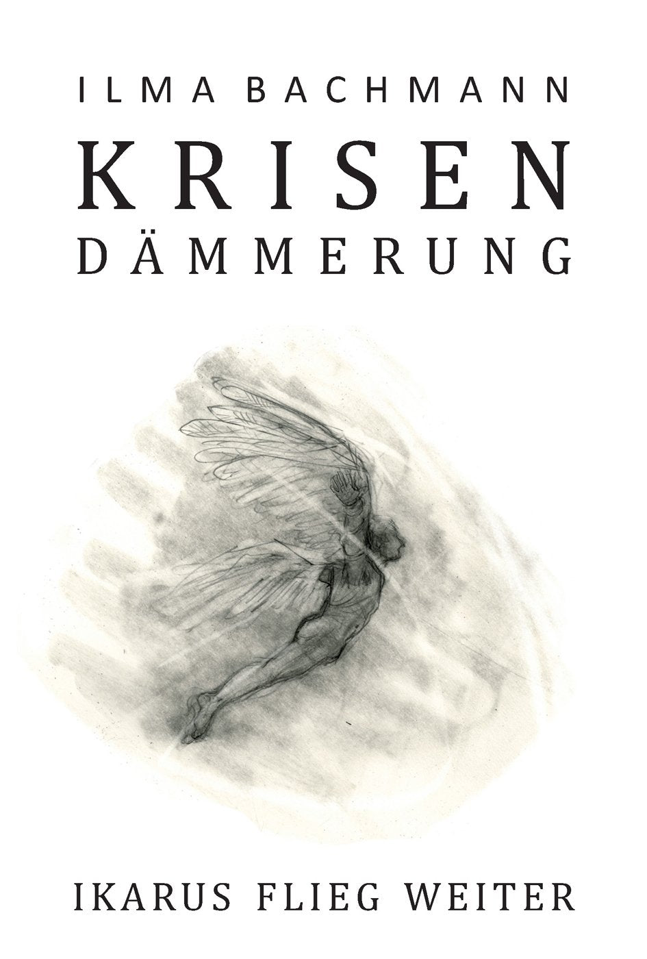 Product Image: Krisendämmerung
