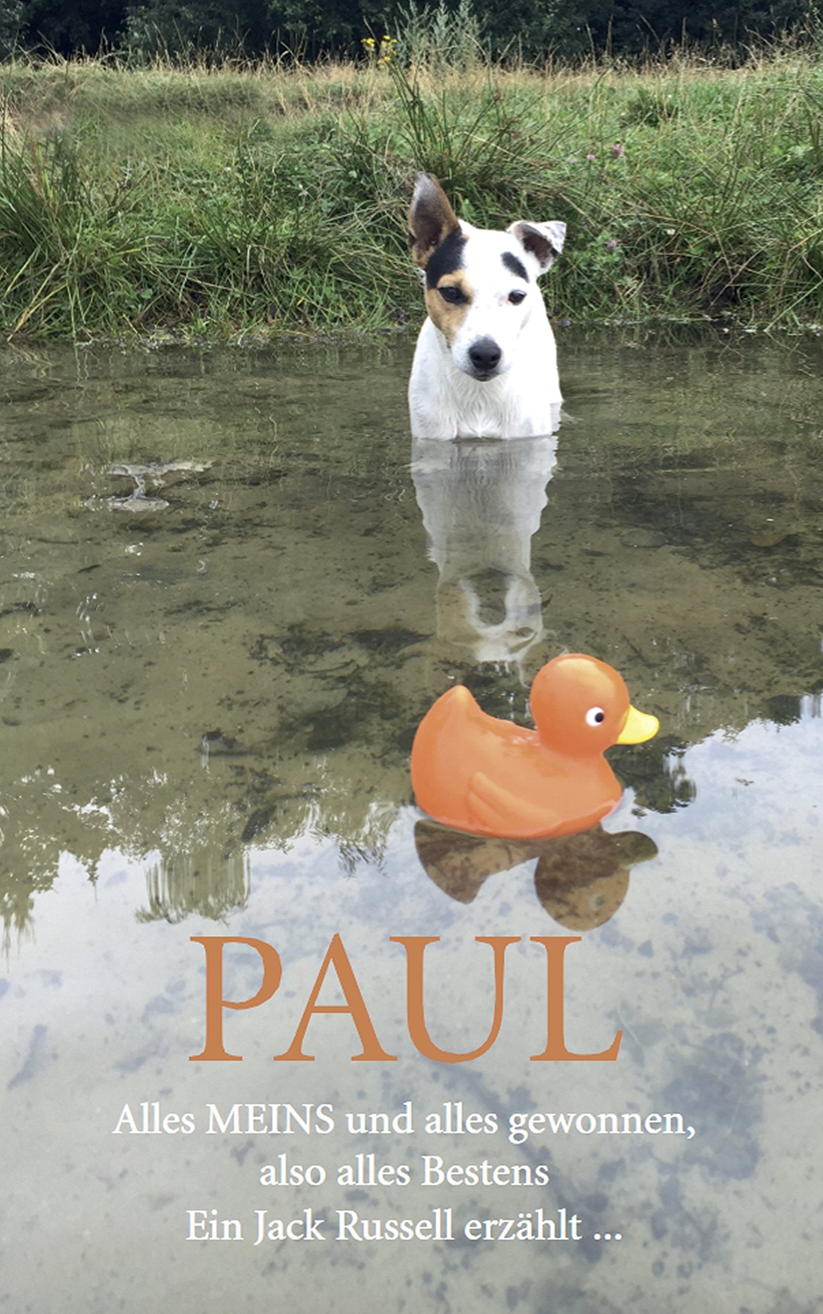 PAUL - Alles MEINS und alles gewonnen, also alles Bestens book
