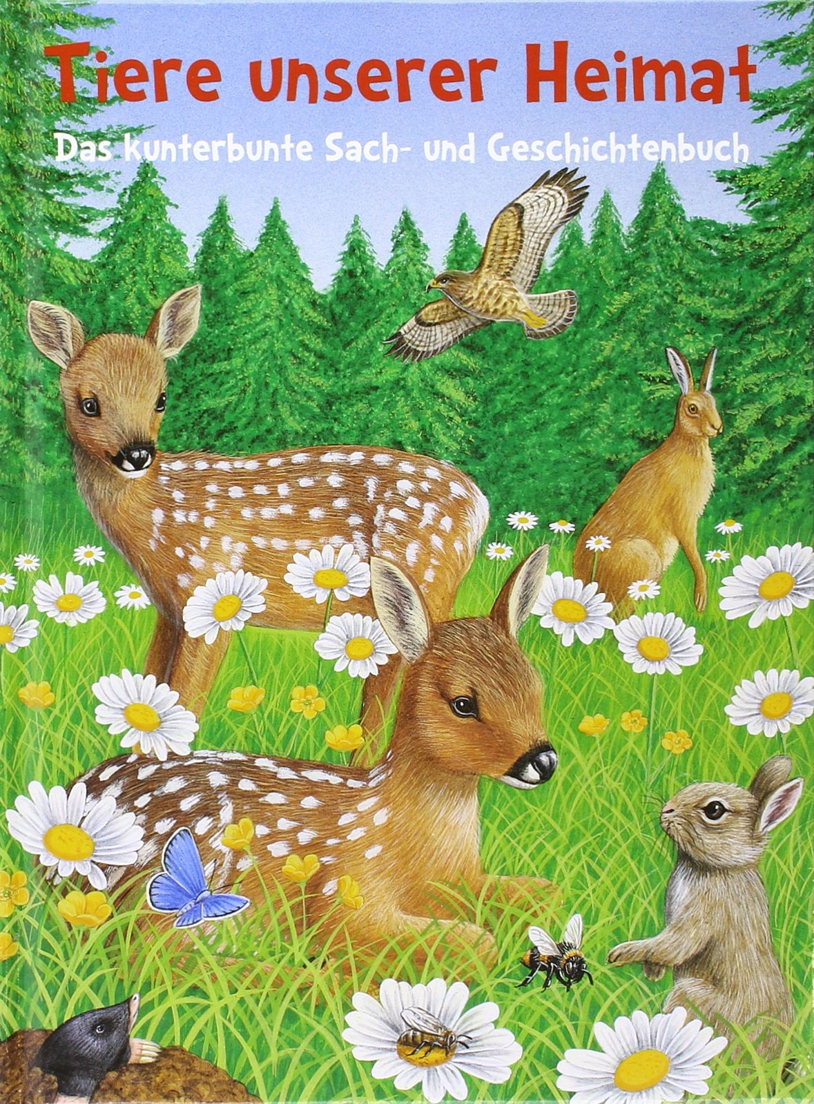 Tiere unserer Heimat: Das kunterbunte Sach- und Geschichtenbuch Non-fiction