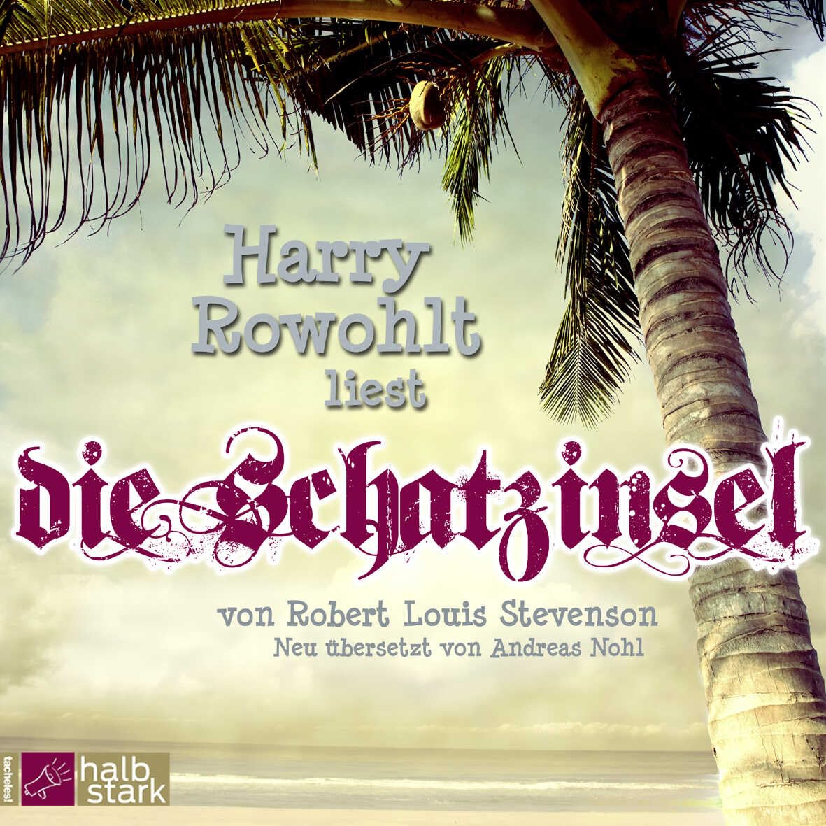 Die Schatzinsel: Neu übersetzt von Andreas Nohl Classics