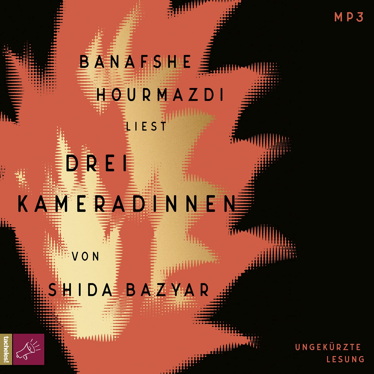 Drei Kameradinnen Social Sciences Books