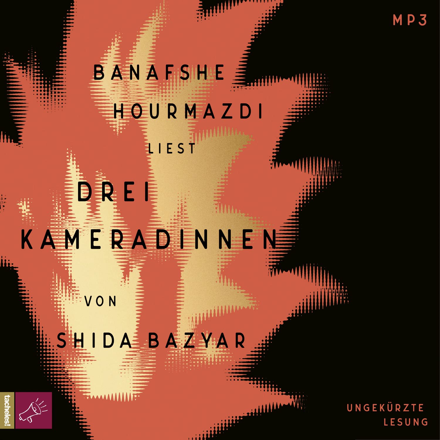 Drei Kameradinnen: Roman Social Sciences