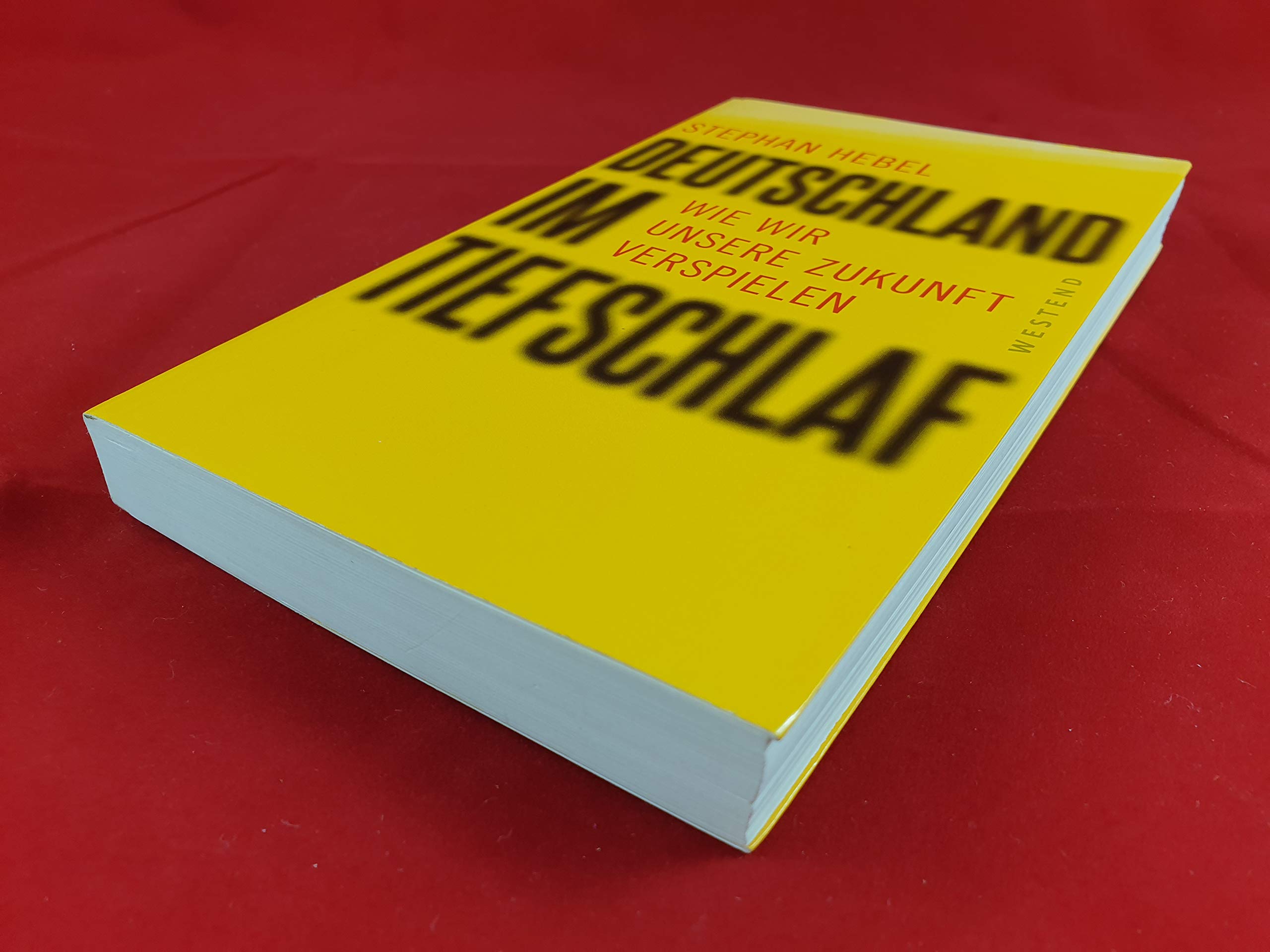 Deutschland im Tiefschlaf: Wie wir unsere Zukunft verspielen Social Sciences
