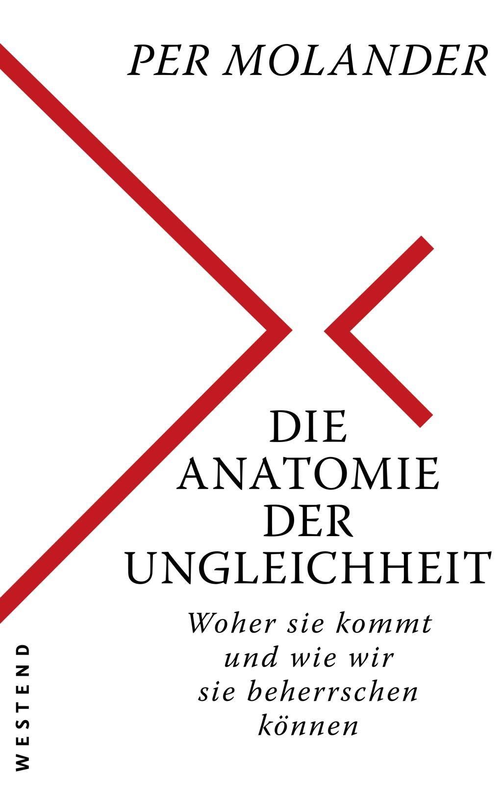 Die Anatomie der Ungleichheit Business, Finance & Career