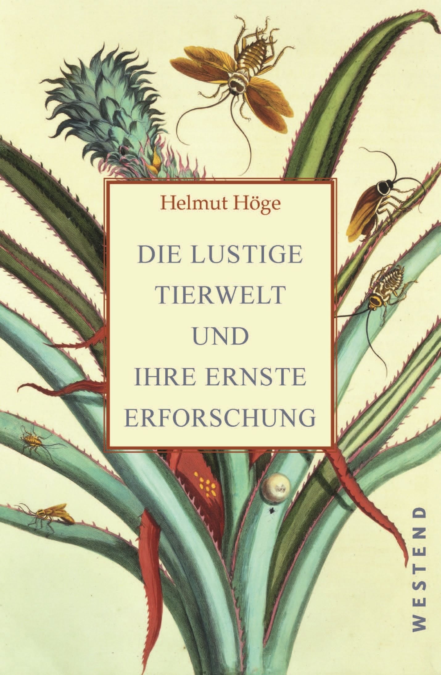 Die lustige Tierwelt und ihre ernste Erforschung Architecture
