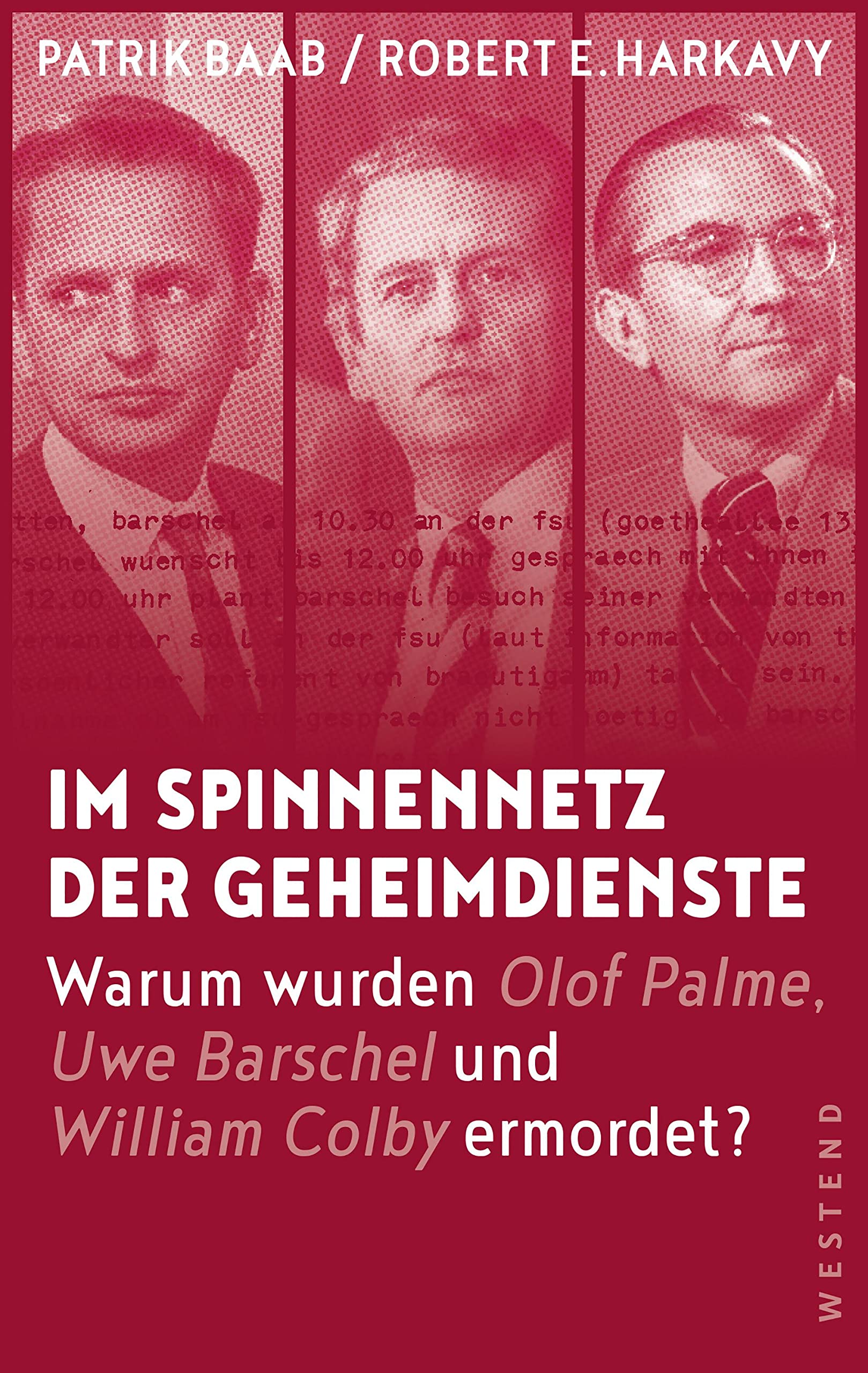 Im Spinnennetz der Geheimdienste Social Sciences