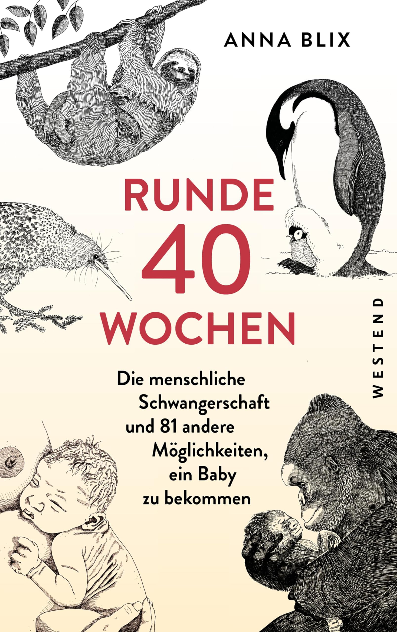 Runde 40 Wochen Medicine