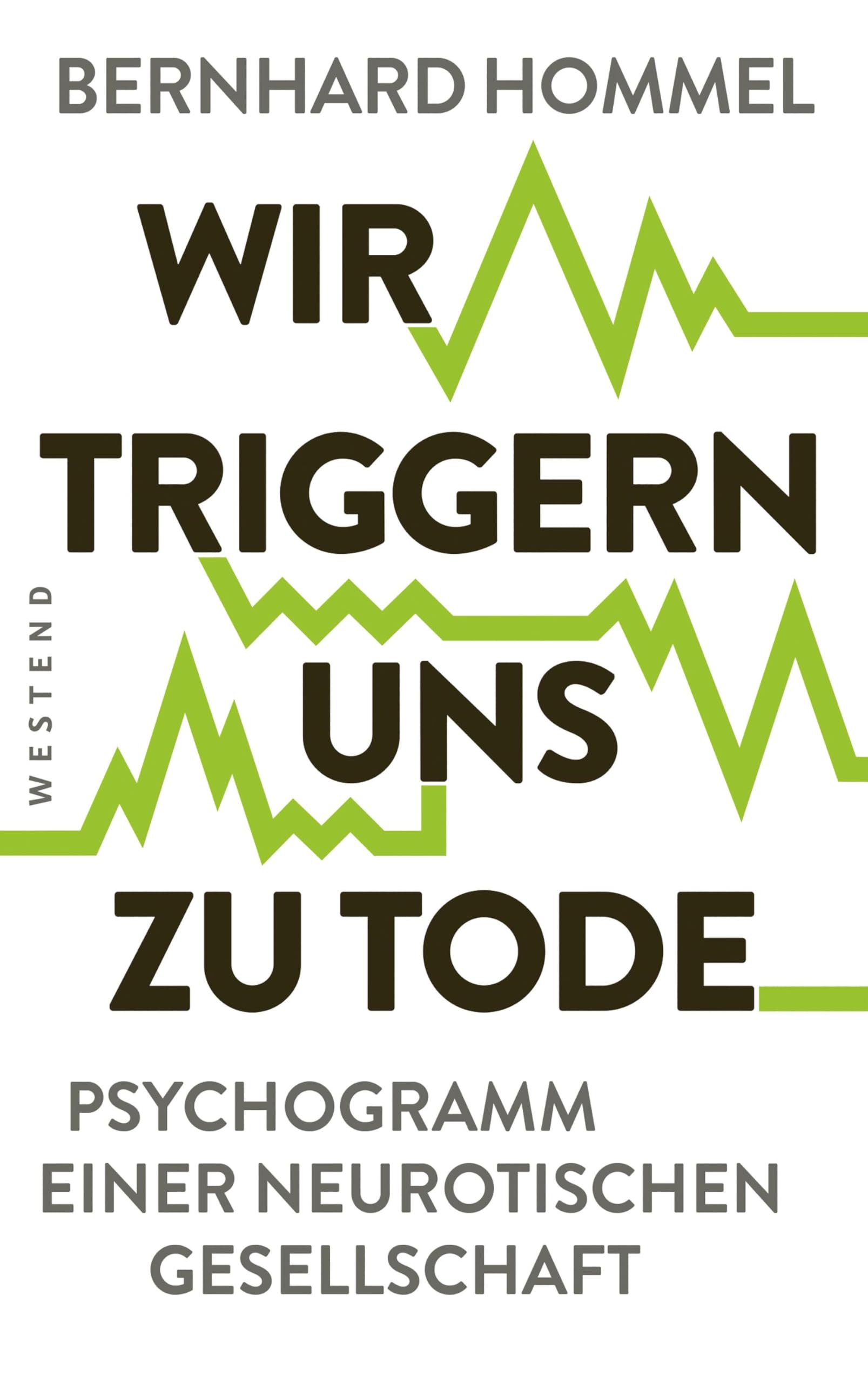 Wir triggern uns zu Tode Social Sciences Books