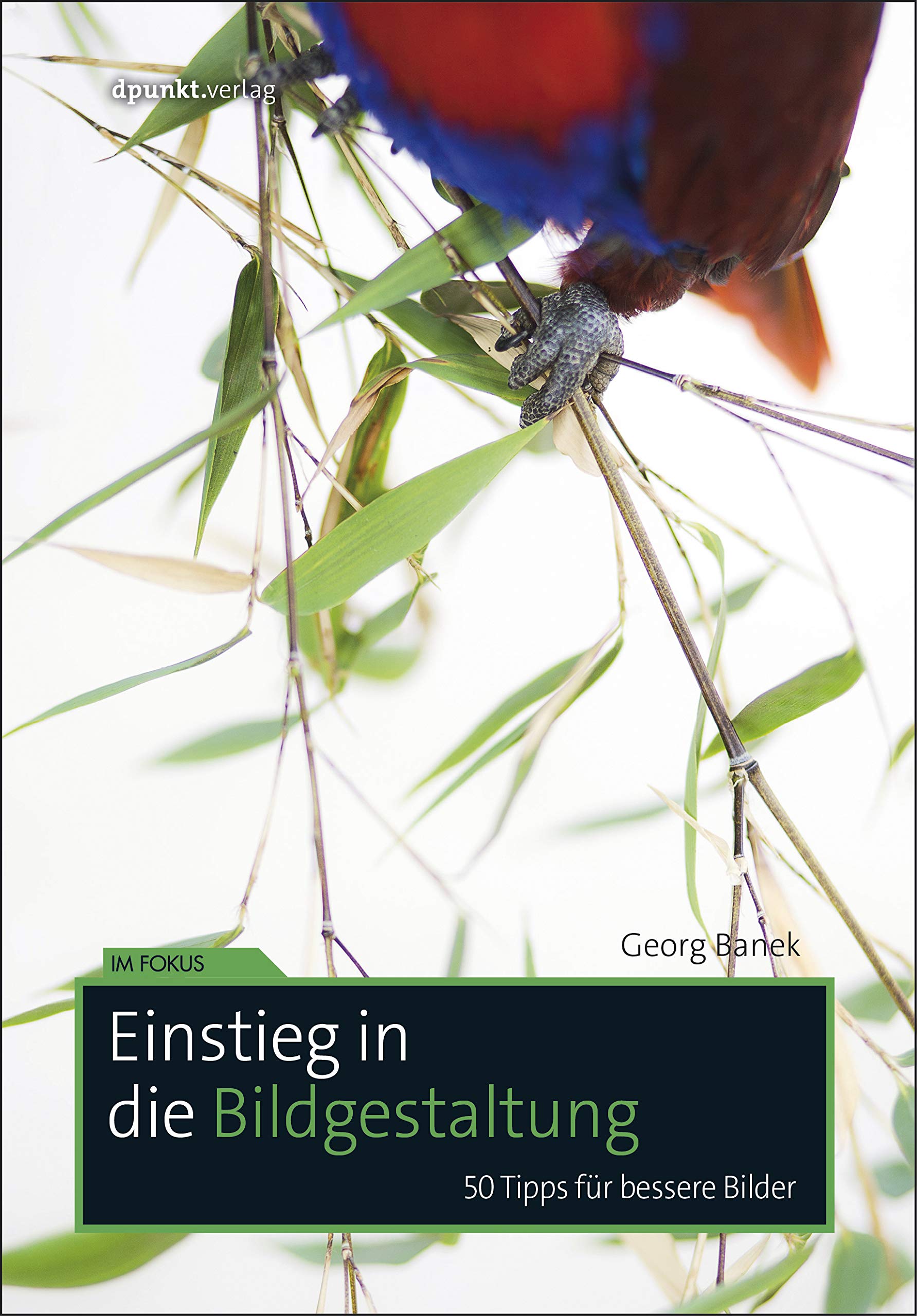 Einstieg in die Bildgestaltung: 50 Tipps für bessere Bilder (Im Fokus) Photography