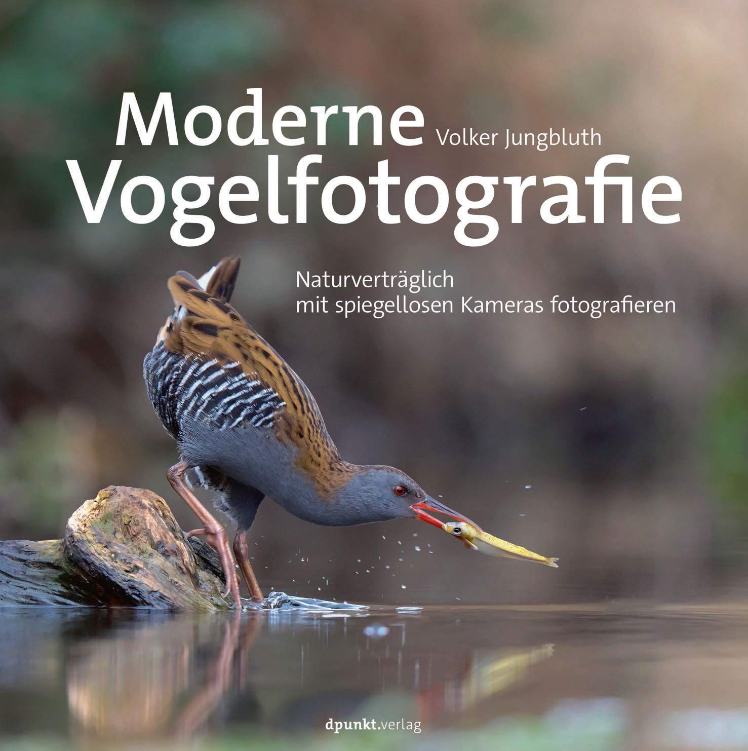 Moderne Vogelfotografie: Naturverträglich mit spiegellosen Kameras fotografieren Photography