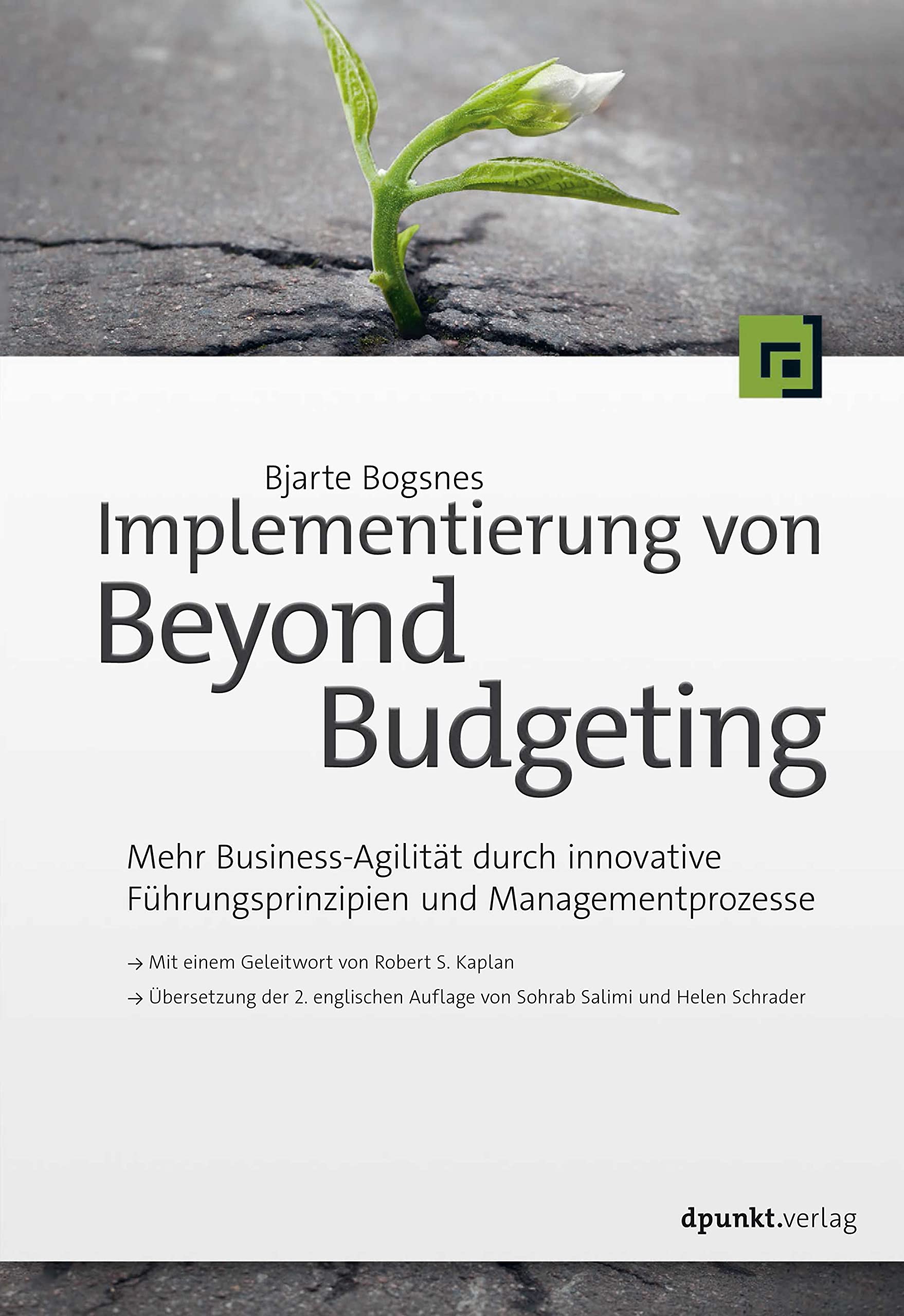 Product Image: Implementierung von Beyond Budgeting
