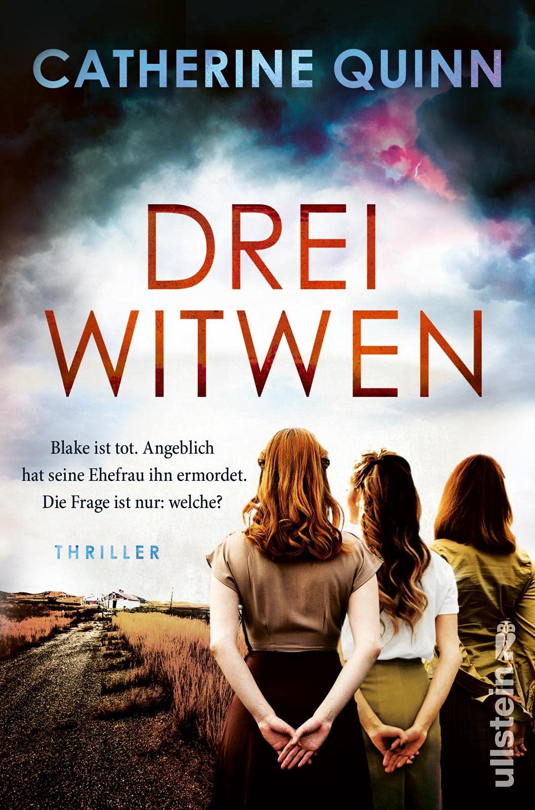 Drei Witwen Contemporary literature Books