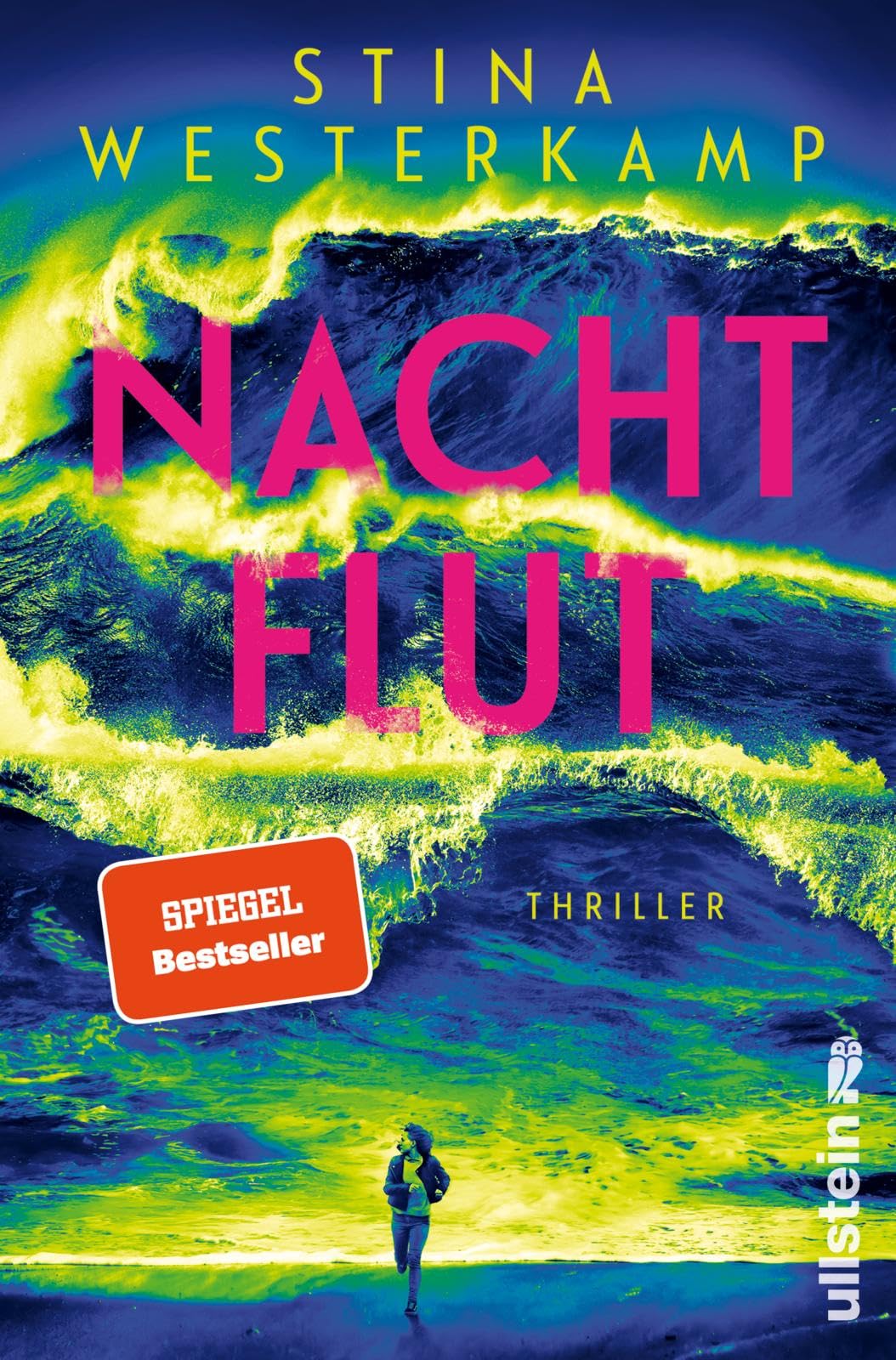 Nachtflut Contemporary literature Books