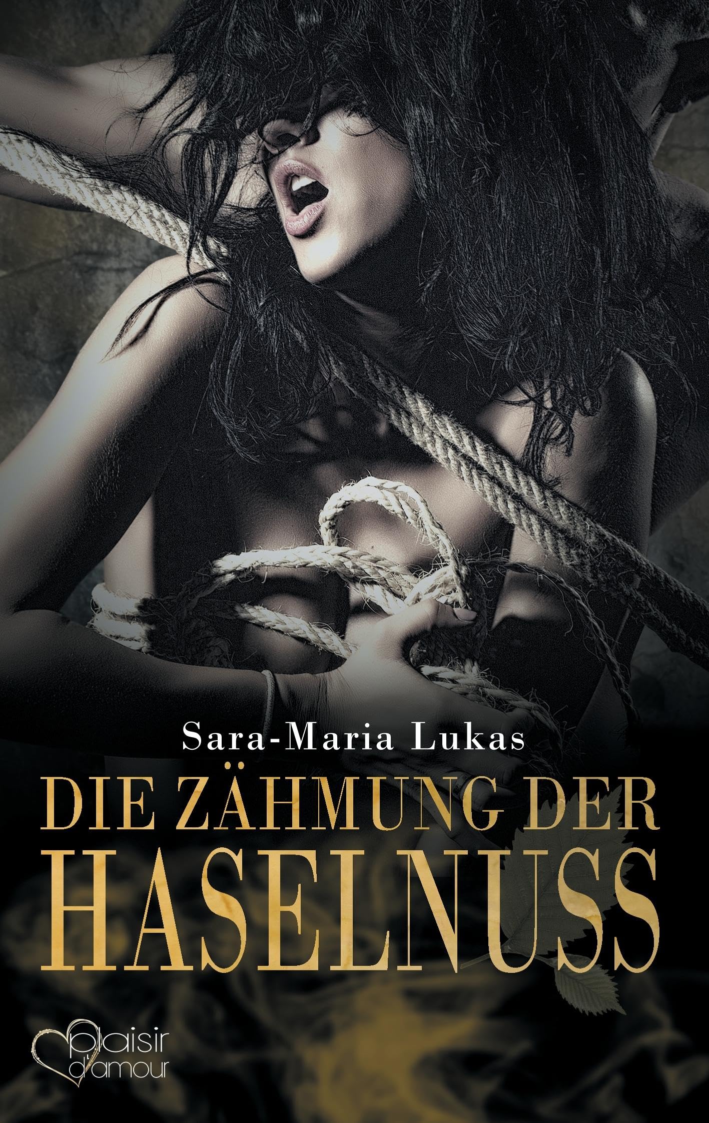 Hard & Heart 3: Die Zähmung der Haselnuss Contemporary literature