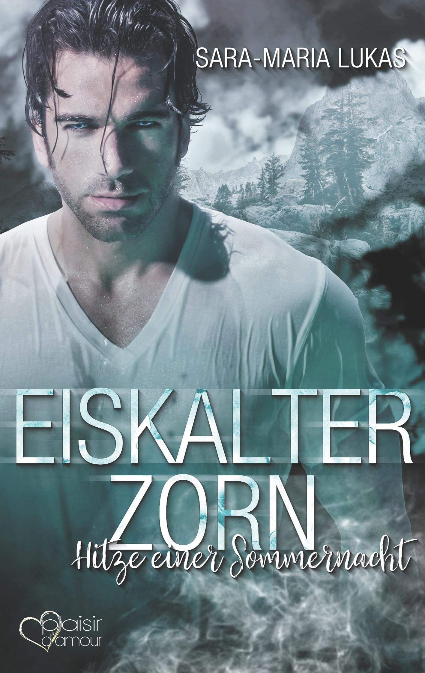 Eiskalter Zorn - Hitze einer Sommernacht book