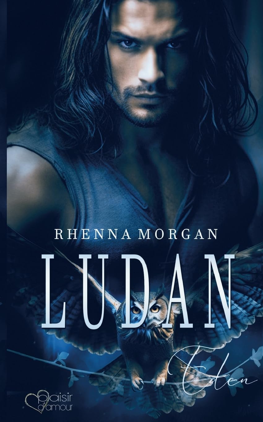 Ludan Contemporary literature Books