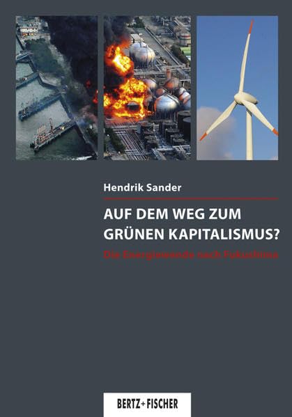 Auf dem Weg zum grünen Kapitalismus? book