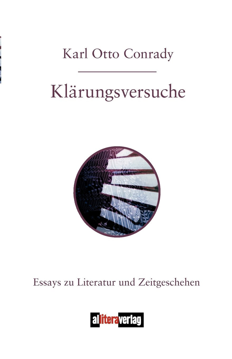 Klärungsversuche: Essays zu Literatur und Zeitgeschehen (Allitera Verlag) Essays & Short Stories