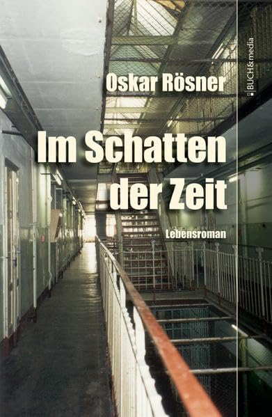Im Schatten der Zeit: Lebensroman (Buch&media) Personalities