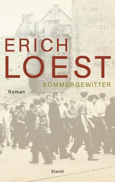 Sommergewitter Contemporary literature Books
