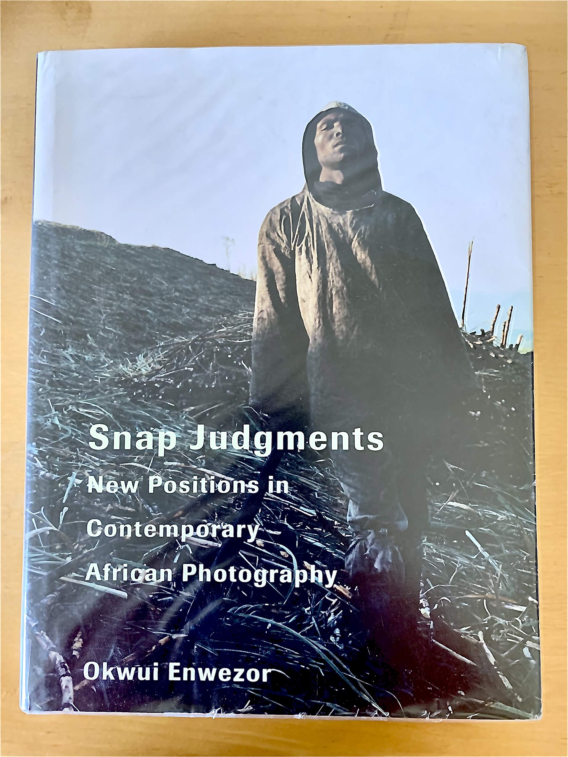 Okwui Enwezor Snap Judgments Travel