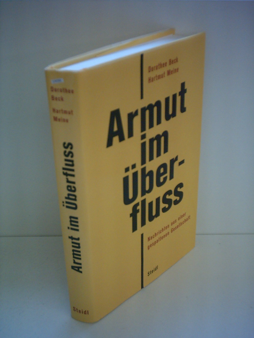 Armut im Überfluss: Nachrichten aus einer gespaltenen Gesellschaft Books