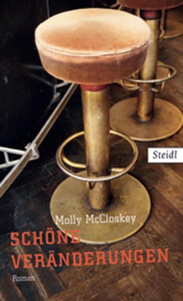 Schöne Veränderungen: Roman Contemporary literature
