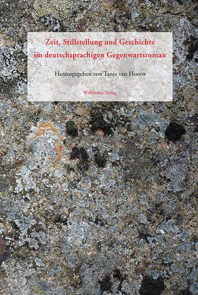 Zeit, Stillstellung und Geschichte im deutschsprachigen Gegenwartsroman Books