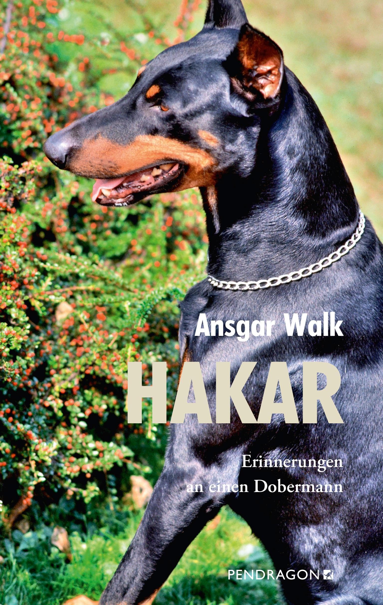 Hakar Contemporary literature Books