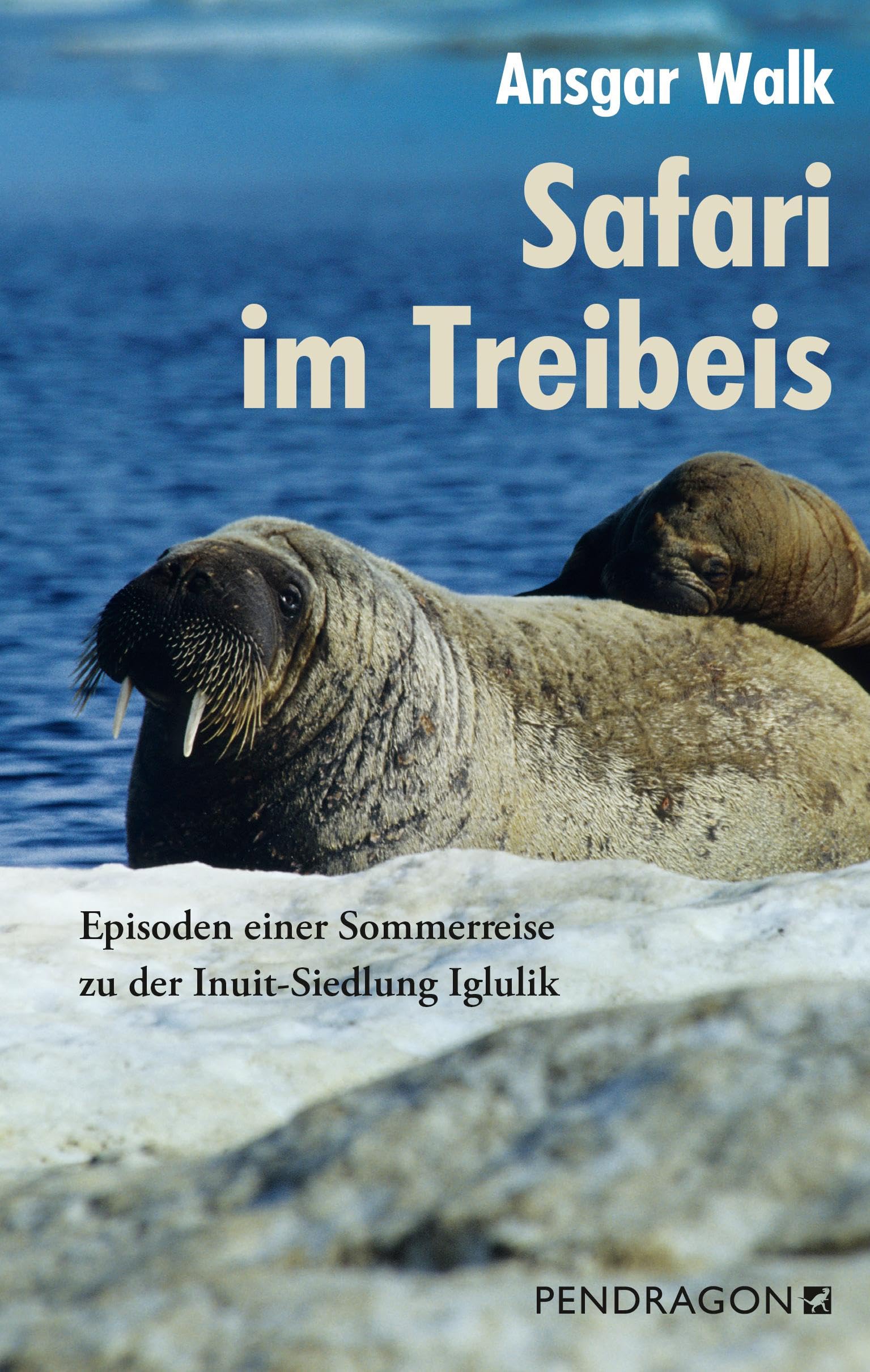 Safari im Treibeis: Episoden einer Sommerreise zu der Inuit-Siedlung Iglulik Social Sciences