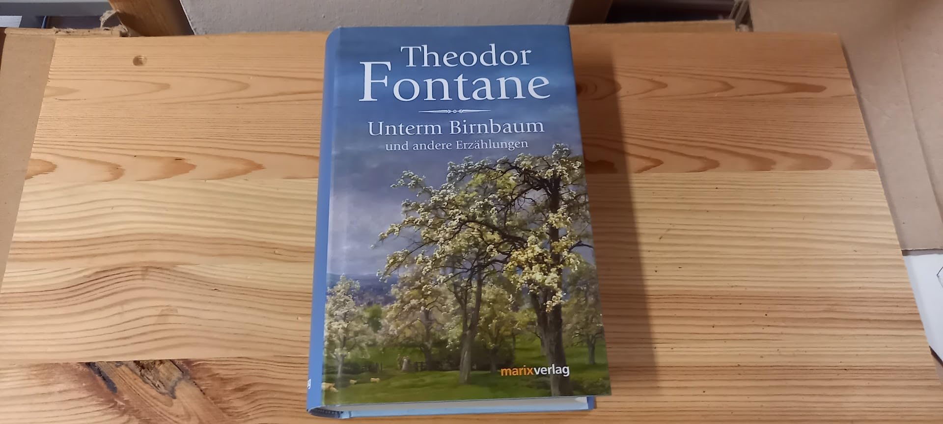 Unterm Birnbaum: Und andere Erzählungen Classics