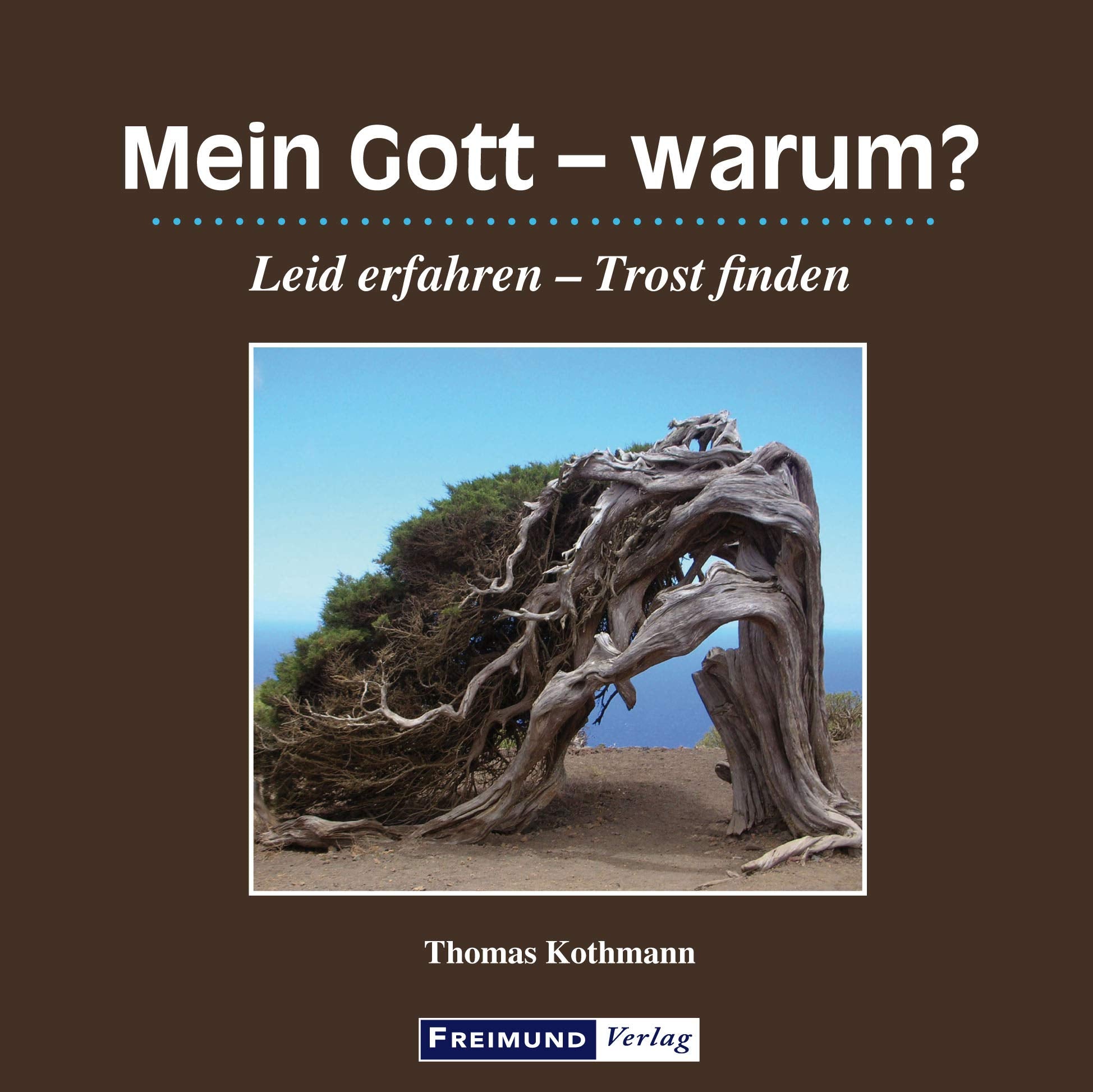 Mein Gott - warum?: Leid erfahren - Trost finden (Gemeindeliteratur) Social Sciences