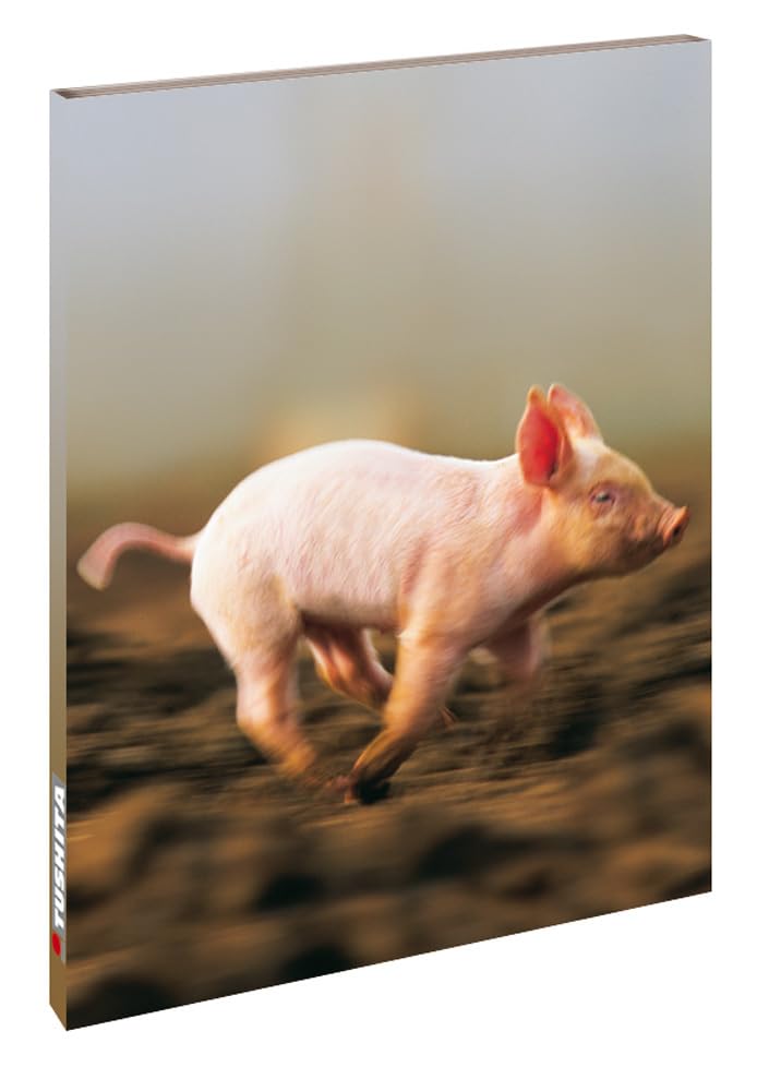 Keep on running...: Blankbook (Blankbook (RB906)) Photography
