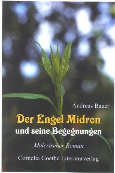 Der Engel Midron und seine Begegnungen (Cornelia Goethe Literaturverlag) Contemporary literature