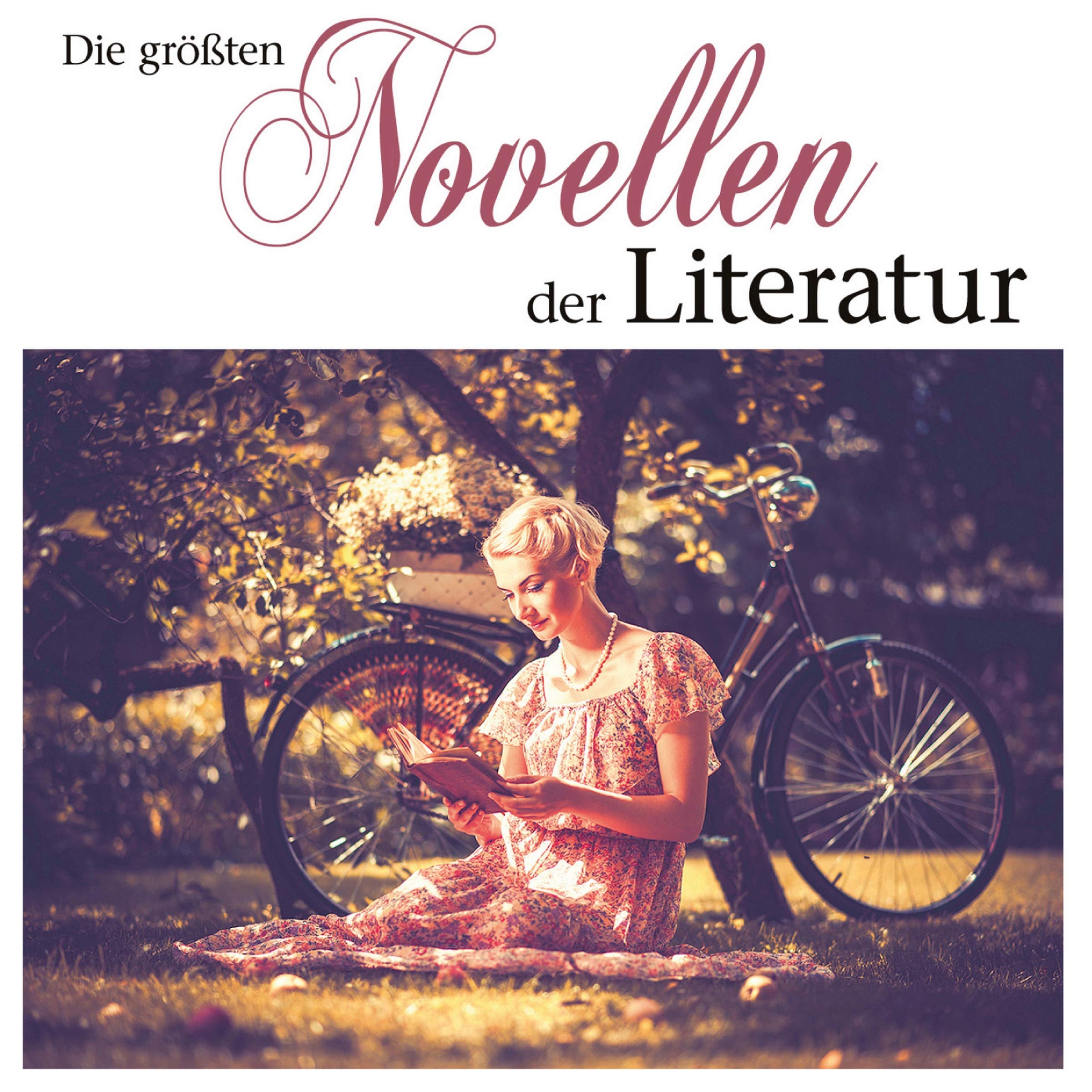 Die größten Novellen der Literatur Contemporary literature
